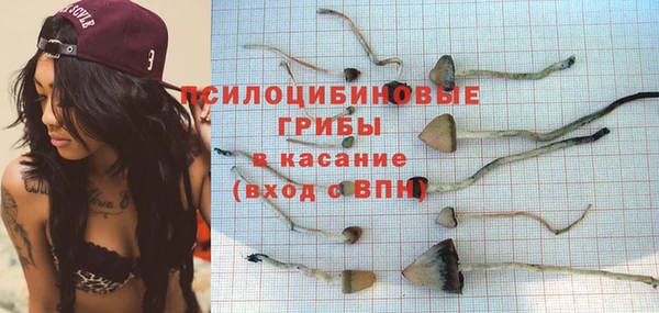 герыч Алзамай