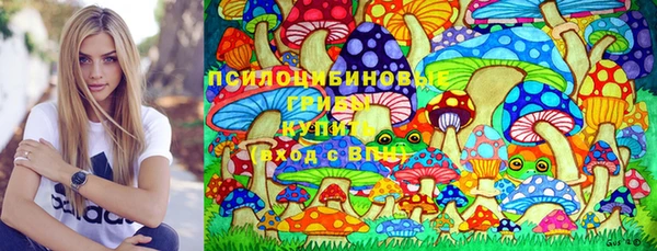МДПВ Абаза